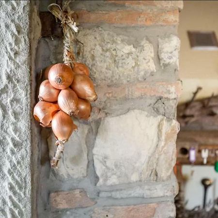 Casa Mazzocchi Vista Su Poppi Villa Екстериор снимка